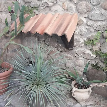 Apartman Studioterrasse *
