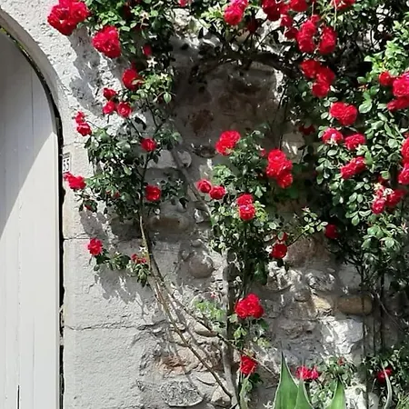 Studioterrasse